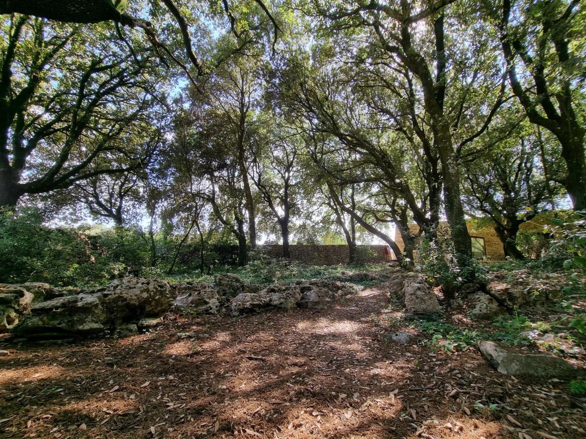 Agriturismo Iazzo Scagno Martina Franca Luaran gambar