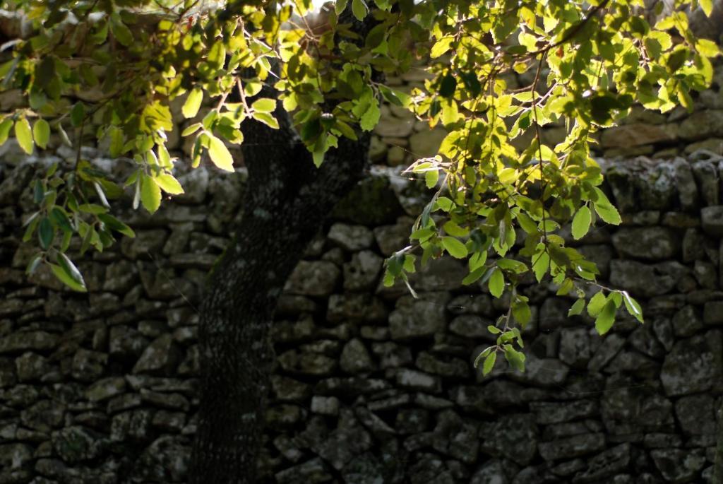 Agriturismo Iazzo Scagno Martina Franca Luaran gambar