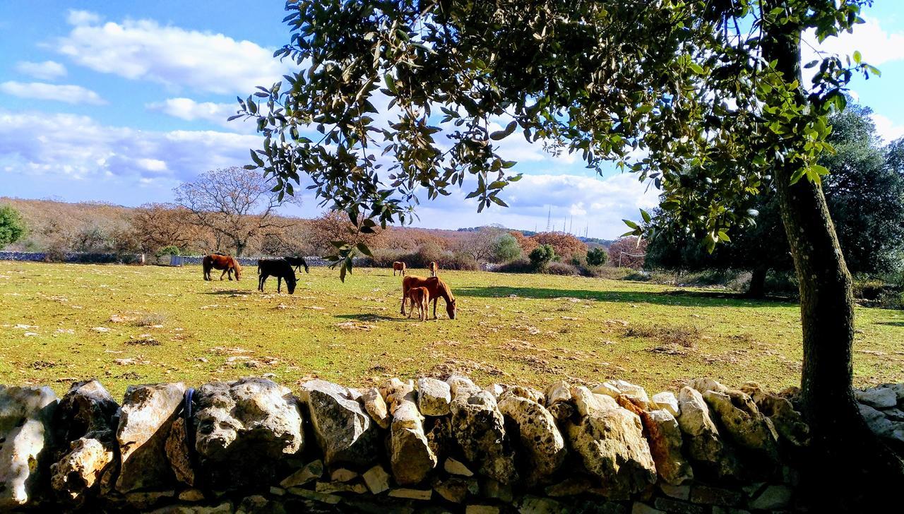 Agriturismo Iazzo Scagno Martina Franca Luaran gambar