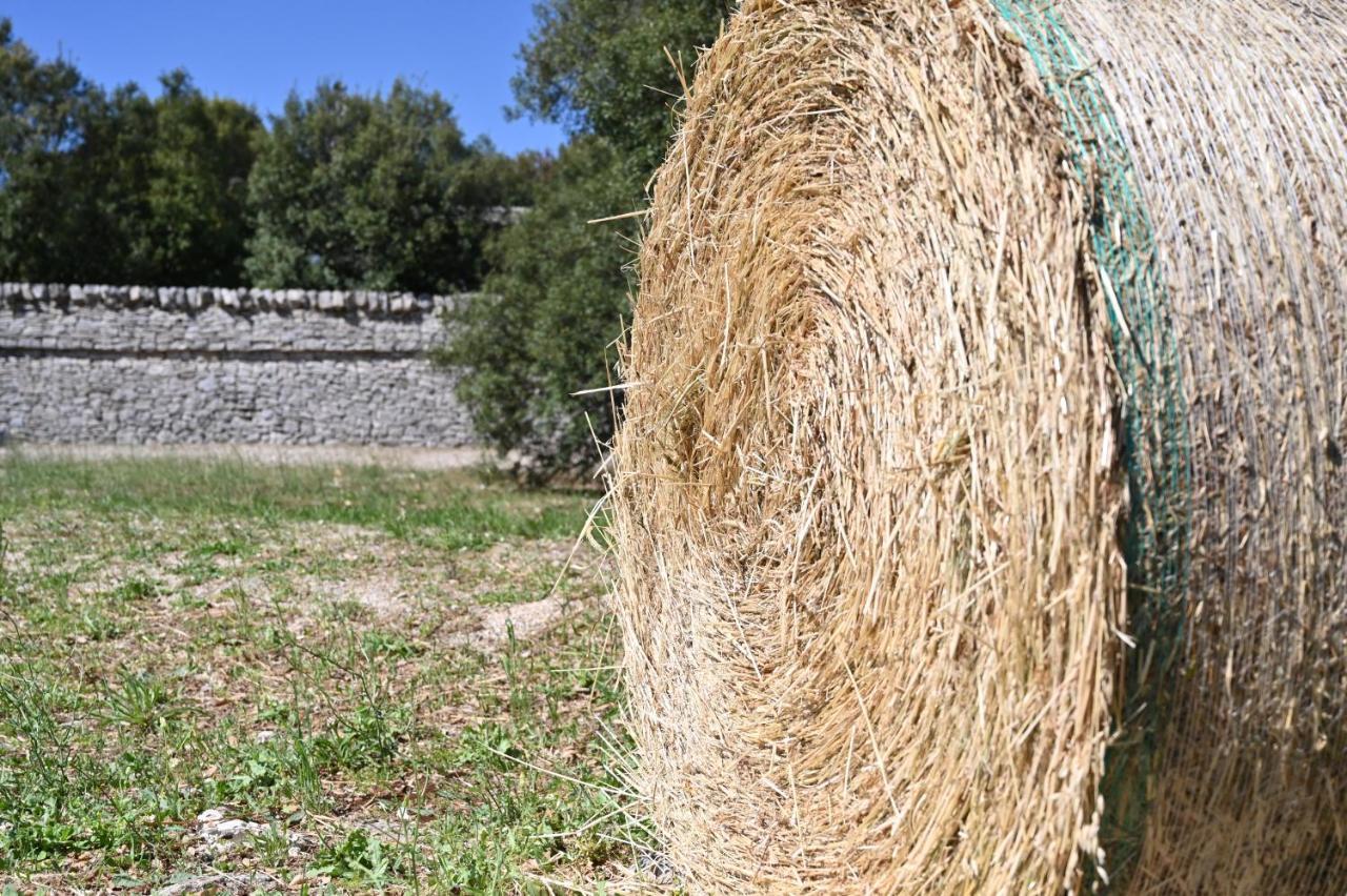 Agriturismo Iazzo Scagno Martina Franca Luaran gambar
